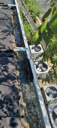 Roof Leak SME - 